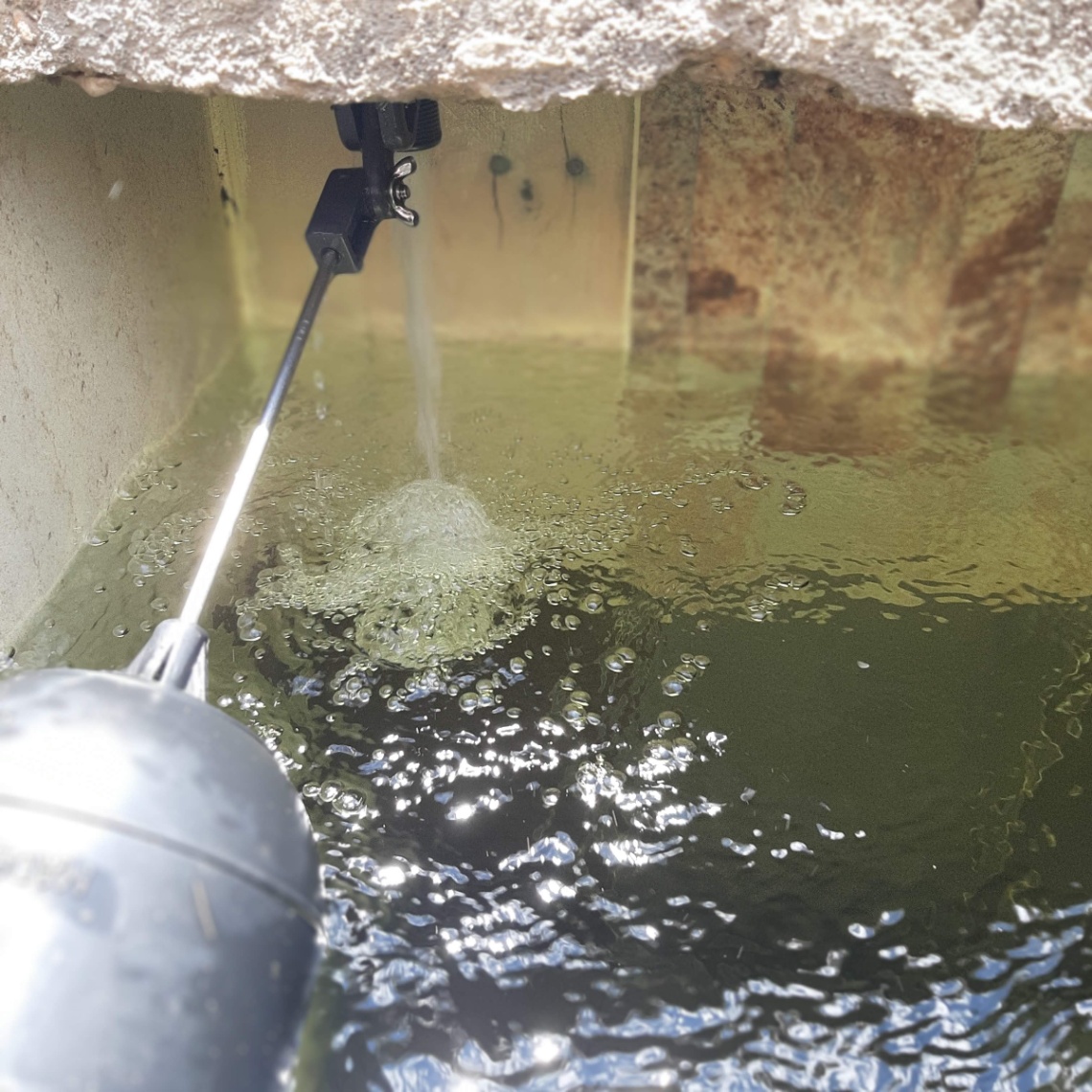 Tona, Santander, Colombia 4